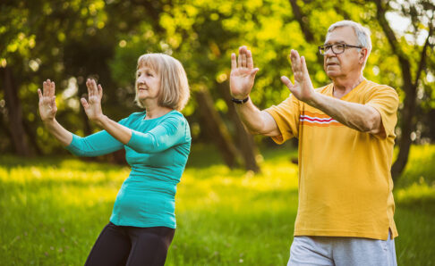 Senior couple exercising Tai Chi